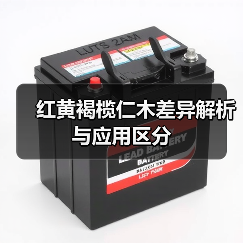 红黄褐榄仁木差异解析与应用区分(图4) 红黄褐榄仁木差异解析与应用区分(图4)