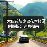 大巴花与小巴花木材区别解析:选购指南(图3) 大巴花与小巴花木材区别解析:选购指南(图3)
