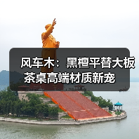 风车木:黑檀平替大板茶桌高端材质新宠(图4) 风车木:黑檀平替大板茶桌高端材质新宠(图4)
