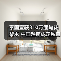 泰国查获310万缅甸花梨木 中国越南成走私目标(图1) 泰国查获310万缅甸花梨木 中国越南成走私目标(图1)