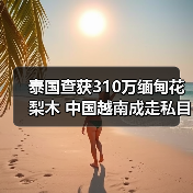 泰国查获310万缅甸花梨木 中国越南成走私目标(图4) 泰国查获310万缅甸花梨木 中国越南成走私目标(图4)