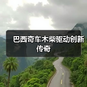 巴西奇车木柴驱动创新传奇(图2) 巴西奇车木柴驱动创新传奇(图2)