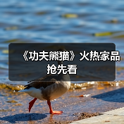 《功夫熊猫》火热家品抢先看(图3) 《功夫熊猫》火热家品抢先看(图3)