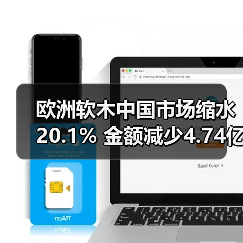欧洲软木中国市场缩水20.1% 金额减少4.74亿(图2) 欧洲软木中国市场缩水20.1% 金额减少4.74亿(图2)
