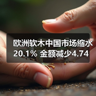 欧洲软木中国市场缩水20.1% 金额减少4.74亿(图3) 欧洲软木中国市场缩水20.1% 金额减少4.74亿(图3)