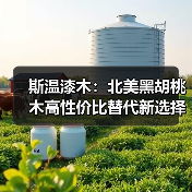 斯温漆木:北美黑胡桃木高性价比替代新选择(图4) 斯温漆木:北美黑胡桃木高性价比替代新选择(图4)