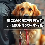 泰国深化泰沙关税合作,拓展中东汽车木材出口(图3) 泰国深化泰沙关税合作,拓展中东汽车木材出口(图3)