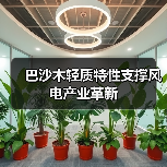 巴沙木轻质特性支撑风电产业革新(图4) 巴沙木轻质特性支撑风电产业革新(图4)