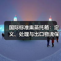 国际标准熏蒸托箱:定义、处理与出口物流保障(图3) 国际标准熏蒸托箱:定义、处理与出口物流保障(图3)