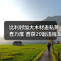 比利时加大木材走私筛查力度 查获20起违规案件(图4) 比利时加大木材走私筛查力度 查获20起违规案件(图4)