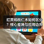 红黄褐榄仁木如何区分?核心差异与应用边界(图3) 红黄褐榄仁木如何区分?核心差异与应用边界(图3)