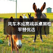 风车木成高端茶桌黑檀平替优选(图2) 风车木成高端茶桌黑檀平替优选(图2)