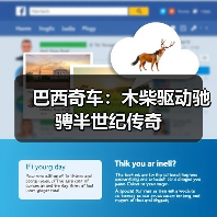 巴西奇车:木柴驱动驰骋半世纪传奇(图2) 巴西奇车:木柴驱动驰骋半世纪传奇(图2)