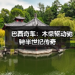 巴西奇车:木柴驱动驰骋半世纪传奇(图3) 巴西奇车:木柴驱动驰骋半世纪传奇(图3)