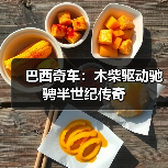 巴西奇车:木柴驱动驰骋半世纪传奇(图4) 巴西奇车:木柴驱动驰骋半世纪传奇(图4)