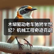 木柴驱动老车驰骋半世纪?机械工程奇迹竟诞生巴西(图2) 木柴驱动老车驰骋半世纪?机械工程奇迹竟诞生巴西(图2)