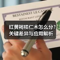 红黄褐榄仁木怎么分？关键差异与应用解析（图3）