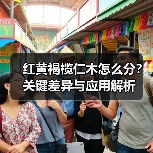 红黄褐榄仁木怎么分？关键差异与应用解析