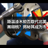 斯温漆木能否取代北美黑胡桃?揭秘其成为市场新宠的三大优势(图1) 斯温漆木能否取代北美黑胡桃?揭秘其成为市场新宠的三大优势(图1)