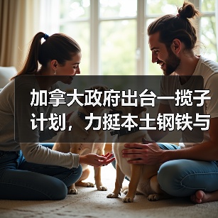 加拿大政府出台一揽子计划，力挺本土钢铁与木材产业转型升级（图2）