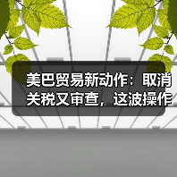 美巴贸易新动作:取消关税又审查,这波操作太“迷”了!(图1) 美巴贸易新动作:取消关税又审查,这波操作太“迷”了!(图1)