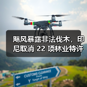 飓风暴露非法伐木,印尼取消 22 项林业特许经营权(图2) 飓风暴露非法伐木,印尼取消 22 项林业特许经营权(图2)