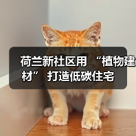 荷兰新社区用 “植物建材” 打造低碳住宅(图2) 荷兰新社区用 “植物建材” 打造低碳住宅(图2)