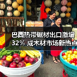 巴西热带锯材出口激增32% 成木材市场新热点(图2) 巴西热带锯材出口激增32% 成木材市场新热点(图2)