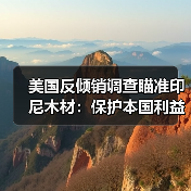 美国反倾销调查瞄准印尼木材:保护本国利益还是贸易壁垒?(图2) 美国反倾销调查瞄准印尼木材:保护本国利益还是贸易壁垒?(图2)