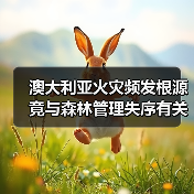 澳大利亚火灾频发根源竟与森林管理失序有关?(图3) 澳大利亚火灾频发根源竟与森林管理失序有关?(图3)