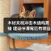 木材关税冲击木结构高楼 建设停滞背后有哪些真相?(图3) 木材关税冲击木结构高楼 建设停滞背后有哪些真相?(图3)