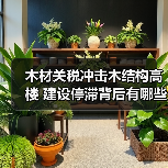 木材关税冲击木结构高楼 建设停滞背后有哪些真相?(图4) 木材关税冲击木结构高楼 建设停滞背后有哪些真相?(图4)