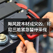 飓风致木材成灾凶,印尼三地紧急暂停采伐(图2) 飓风致木材成灾凶,印尼三地紧急暂停采伐(图2)