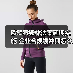 欧盟零毁林法案延期实施 企业合规缓冲期怎么准备?(图1) 欧盟零毁林法案延期实施 企业合规缓冲期怎么准备?(图1)