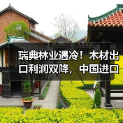 瑞典林业遇冷!木材出口利润双降,中国进口量缩水5.6%(图4) 瑞典林业遇冷!木材出口利润双降,中国进口量缩水5.6%(图4)