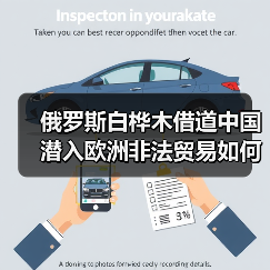 俄罗斯白桦木借道中国潜入欧洲非法贸易如何暗流涌动?(图1) 俄罗斯白桦木借道中国潜入欧洲非法贸易如何暗流涌动?(图1)