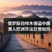 俄罗斯白桦木借道中国潜入欧洲非法贸易如何暗流涌动?(图4) 俄罗斯白桦木借道中国潜入欧洲非法贸易如何暗流涌动?(图4)