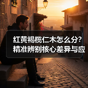 红黄褐榄仁木怎么分?精准辨别核心差异与应用指南(图1) 红黄褐榄仁木怎么分?精准辨别核心差异与应用指南(图1)