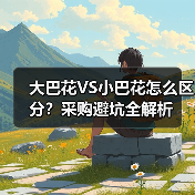 大巴花VS小巴花怎么区分？采购避坑全解析（图3）