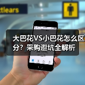 大巴花VS小巴花怎么区分？采购避坑全解析（图4）