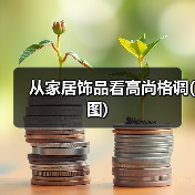 从家居饰品看高尚格调(图)