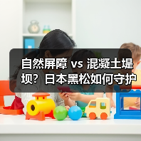自然屏障 vs 混凝土堤坝?日本黑松如何守护海岸线?(图2) 自然屏障 vs 混凝土堤坝?日本黑松如何守护海岸线?(图2)