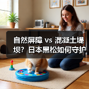自然屏障 vs 混凝土堤坝?日本黑松如何守护海岸线?(图1) 自然屏障 vs 混凝土堤坝?日本黑松如何守护海岸线?(图1)