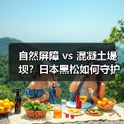 自然屏障 vs 混凝土堤坝?日本黑松如何守护海岸线?(图3) 自然屏障 vs 混凝土堤坝?日本黑松如何守护海岸线?(图3)