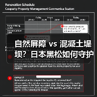 自然屏障 vs 混凝土堤坝?日本黑松如何守护海岸线?(图4) 自然屏障 vs 混凝土堤坝?日本黑松如何守护海岸线?(图4)