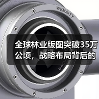 全球林业版图突破35万公顷，战略布局背后的扩张密码（图2）