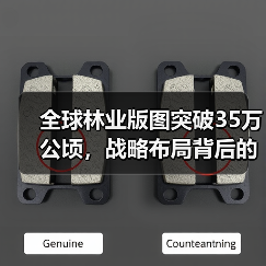 全球林业版图突破35万公顷，战略布局背后的扩张密码（图3）