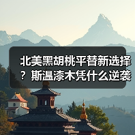 北美黑胡桃平替新选择?斯温漆木凭什么逆袭(图4) 北美黑胡桃平替新选择?斯温漆木凭什么逆袭(图4)