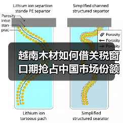 越南木材如何借关税窗口期抢占中国市场份额？（图2）