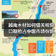 越南木材如何借关税窗口期抢占中国市场份额？